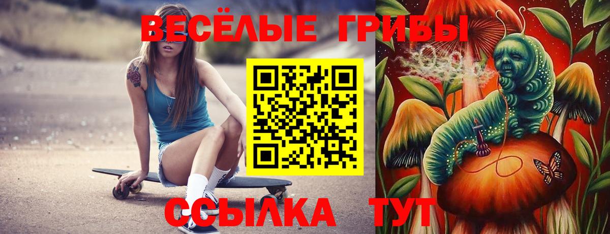 Шадринск  Галлюциногенные грибы GOLDEN TEACHER  Вход с VPN 