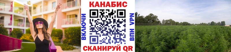 наркотики  Шадринск  Бошки Шишки семена 
